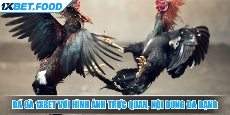 Đá gà 1xBet với hình ảnh trực quan, nội dung đa dạng và cách tiếp cận đơn giản